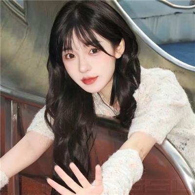行窃大师